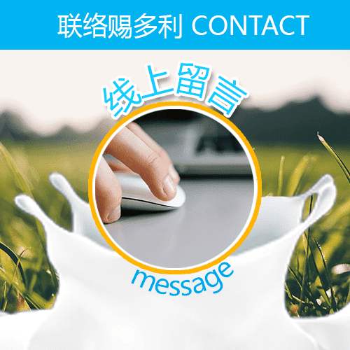 stolle線上留言